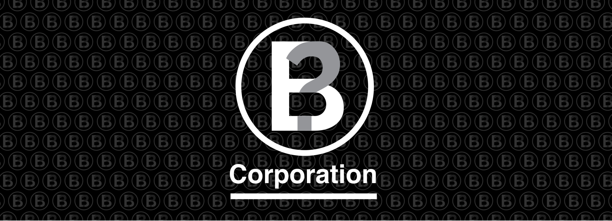 B Corporations? Why Do They Exist? » Brandbuilderstudios.com